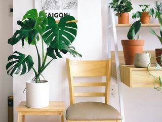 Maison bois vs parpaing : comparatif complet pour choisir